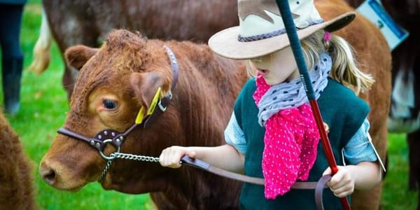 Southland A & P Show Is Back For 2023