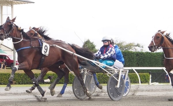 Big Day Planned For Riverton Trotting Club Cup Day