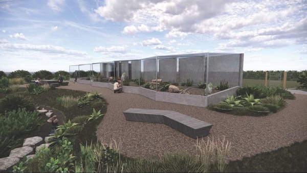Invercargill City Council Unveils Concept Designs for Tuatara Home in Queens Park