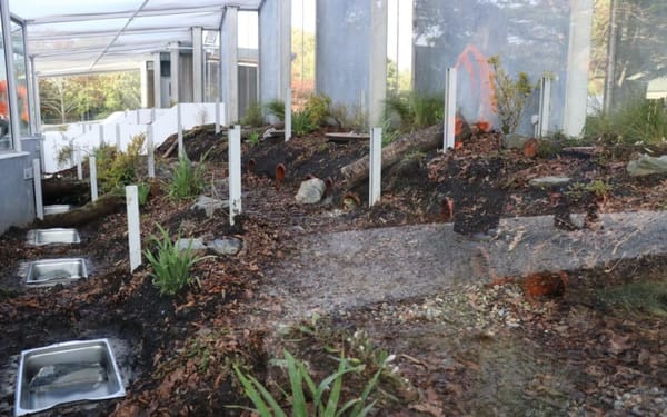 Invercargill Opens New Enclosure for Tuatara at Queens Park